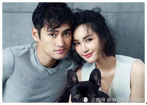 娱乐圈业内吃瓜